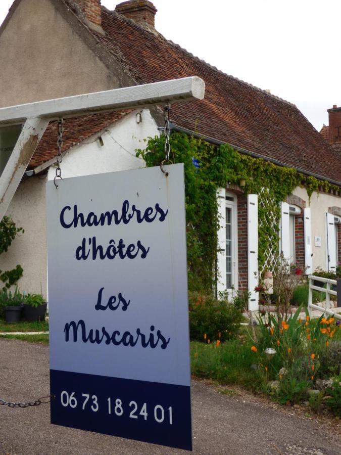 Chambres D'Hotes Les Muscaris Feins-en-Gatinais 外观 照片